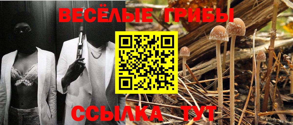 Псилоцибиновые грибы мухоморы Кулебаки