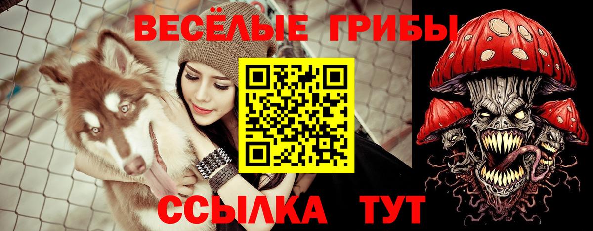 Псилоцибиновые грибы Magic Shrooms  Вход с VPN  Кулебаки 
